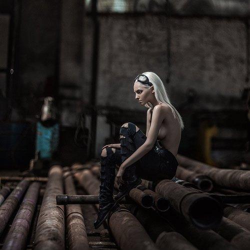 Photo #1024634