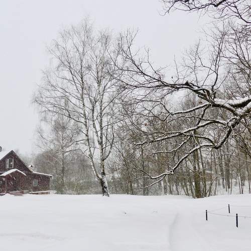 Photo #10200094
