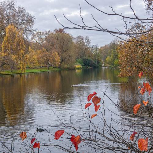 Photo #10200531