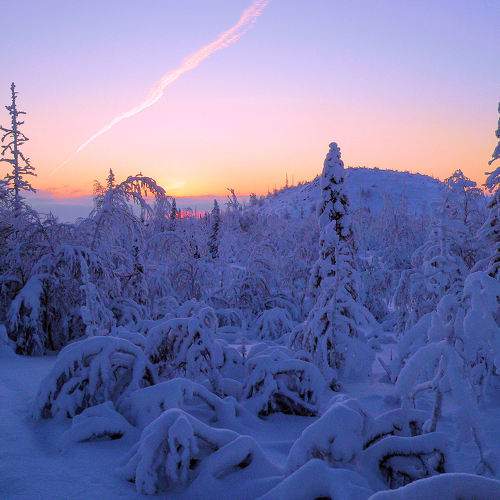 Photo #10201462