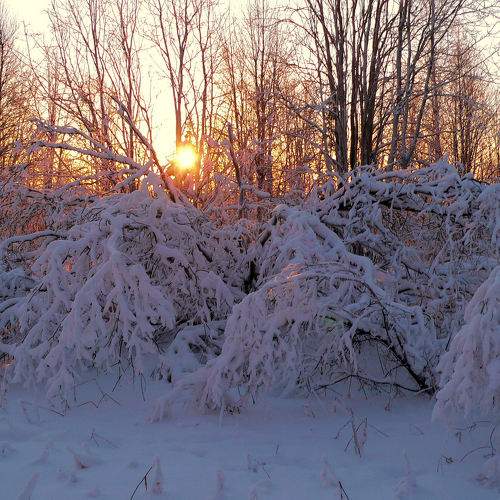 Photo #10201490
