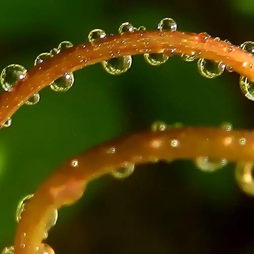 Photo #10201538