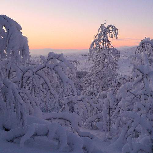 Photo #10201577