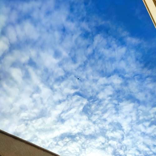 Photo #10202666