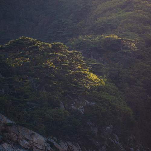 Photo #10202992