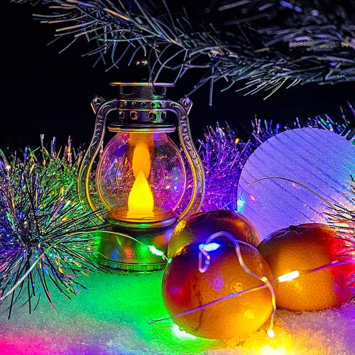 Photo #10203021