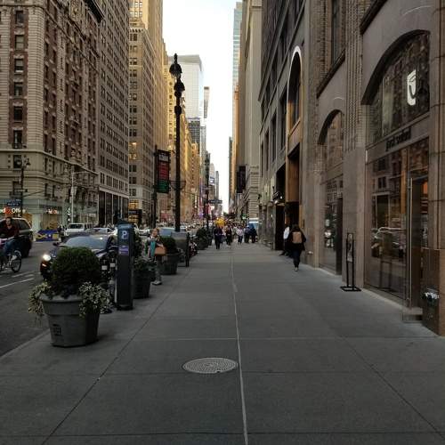 Photo #10203073
