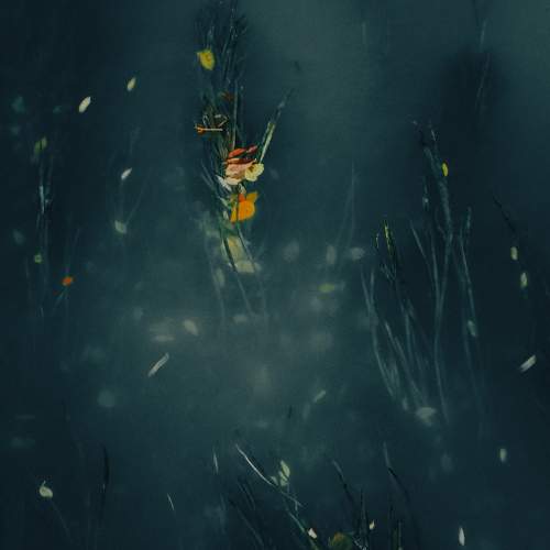 Photo #10203327