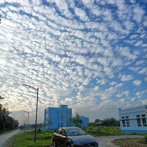 Photo #10203422