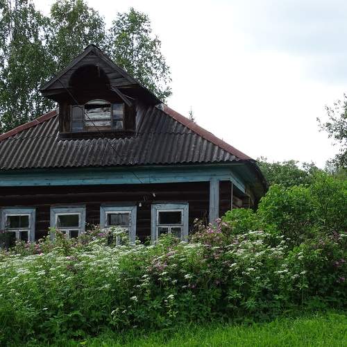 Photo #10203822