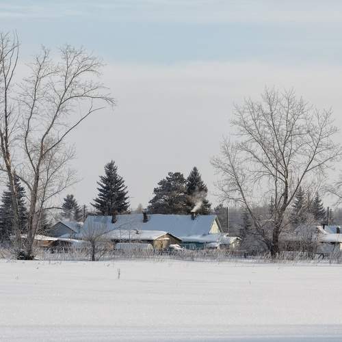 Photo #10203833
