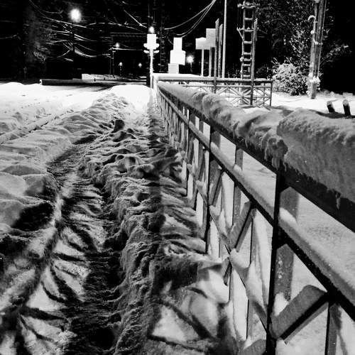 Photo #10204133