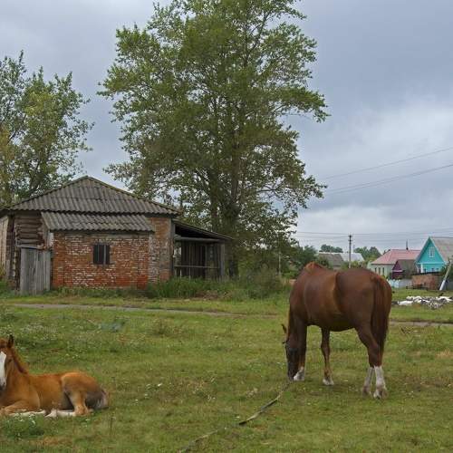 Photo #10204381