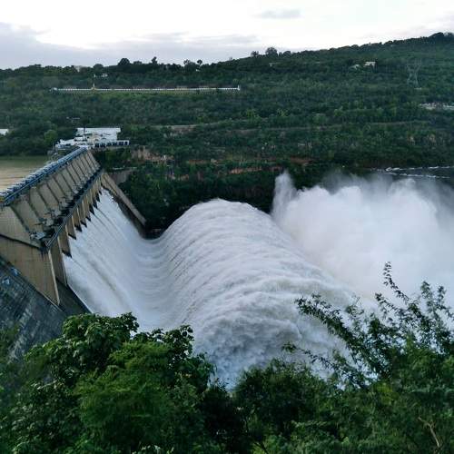 Photo #10204641