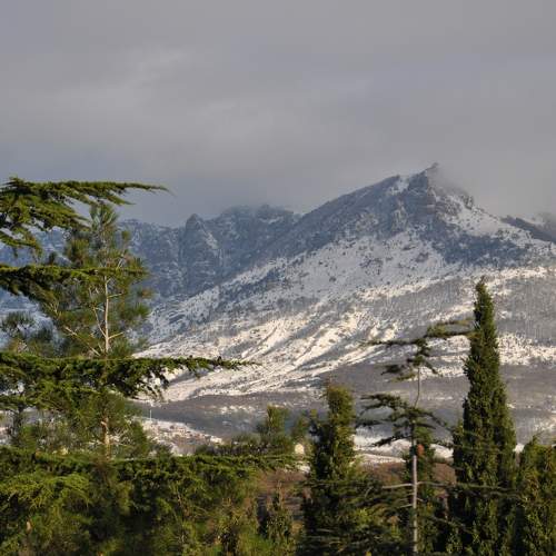 Photo #10205114