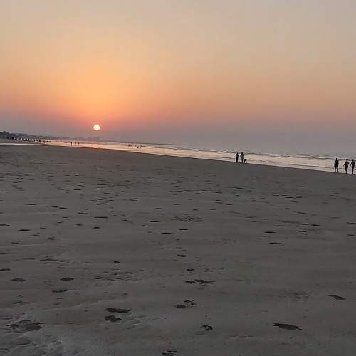 Photo #10205182