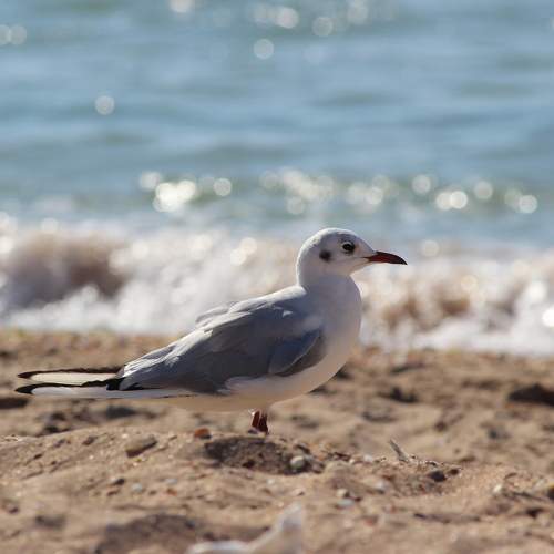 Photo #10205557