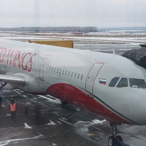 Photo #10205646
