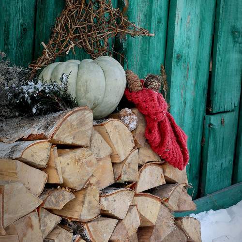 Photo #10205727