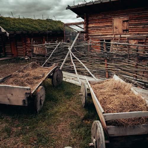 Photo #10205758