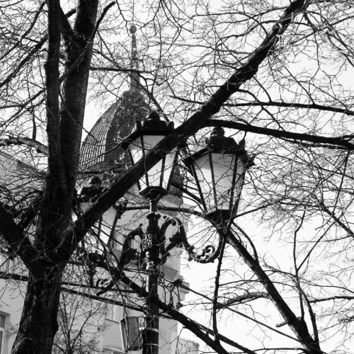 Photo #10205820