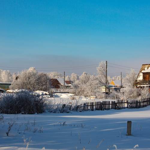 Photo #10205974