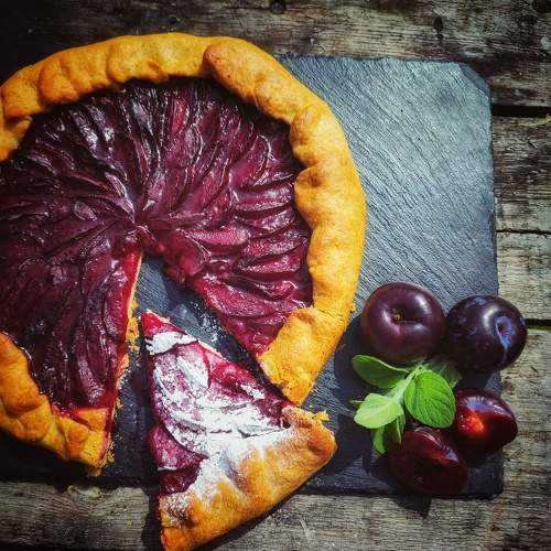 Photo #10206108
