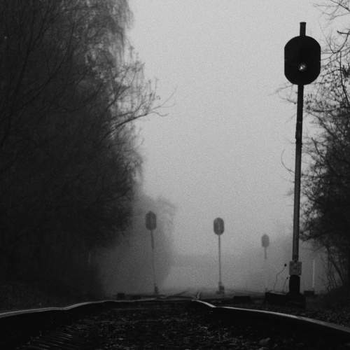 Photo #10206324