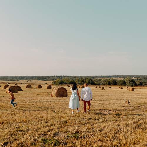 Photo #10206528