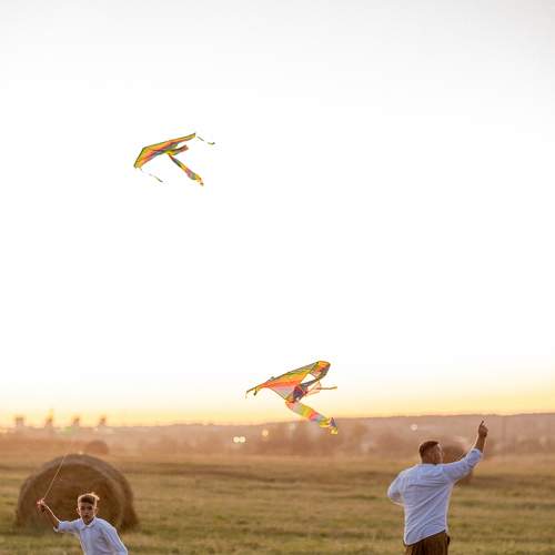 Photo #10206683