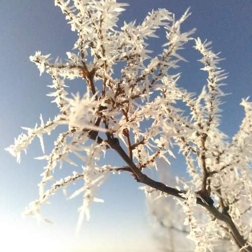 Photo #10206857