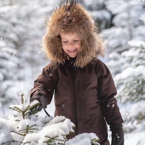 Фотография #10206978