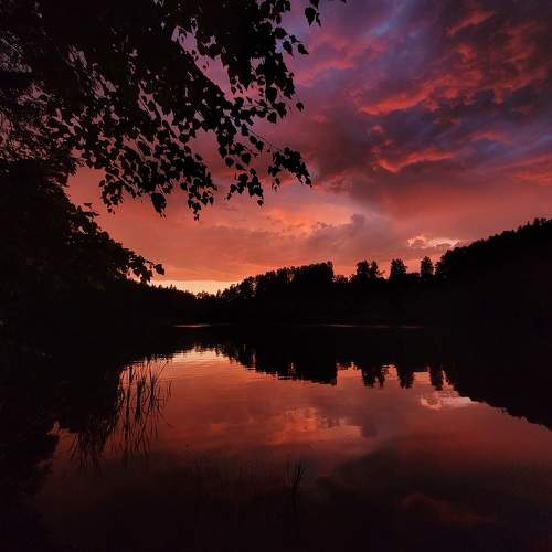 Photo #10207513