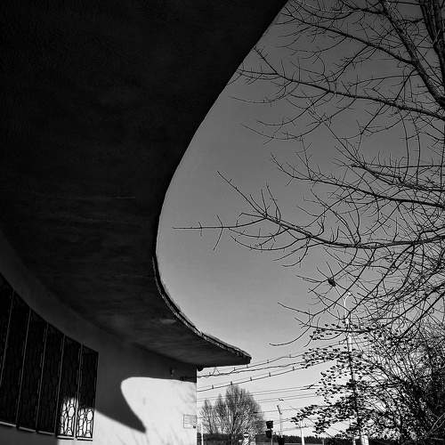 Photo #10207518