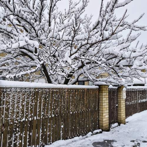 Photo #10207726
