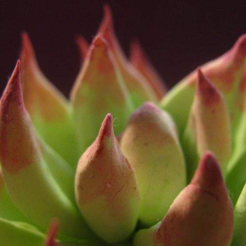 Photo #10208192