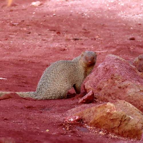 Photo #10208323