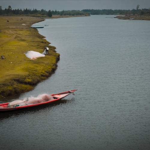 Photo #10208330