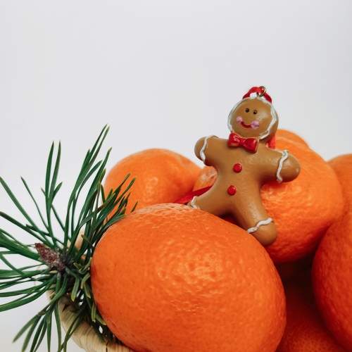 Photo #10208411