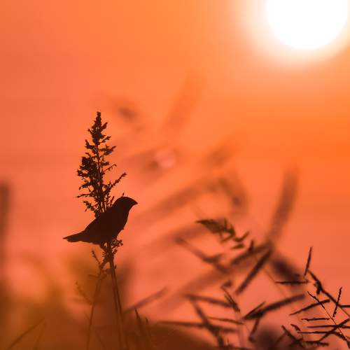 Photo #10209686