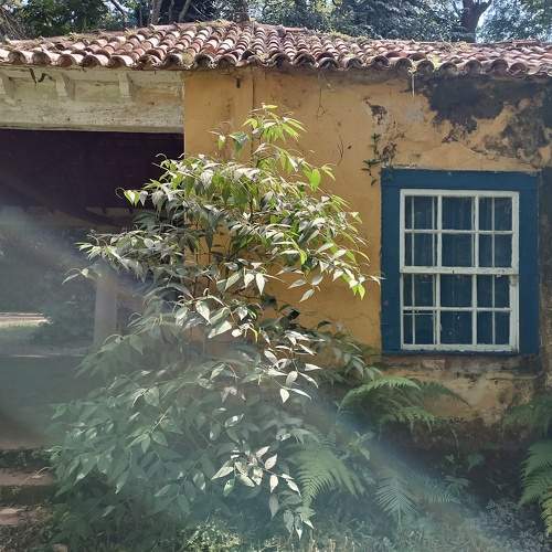 Photo #10210191