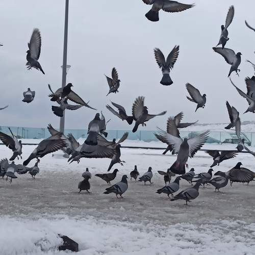 Photo #10210525