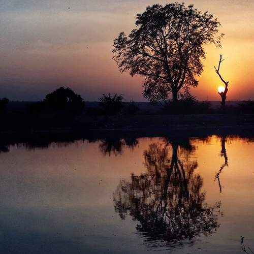 Photo #10210599