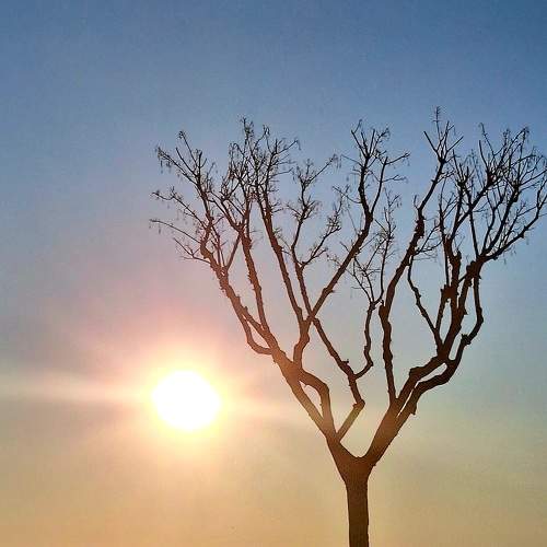 Photo #10210657