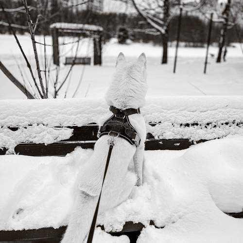 Photo #10210778