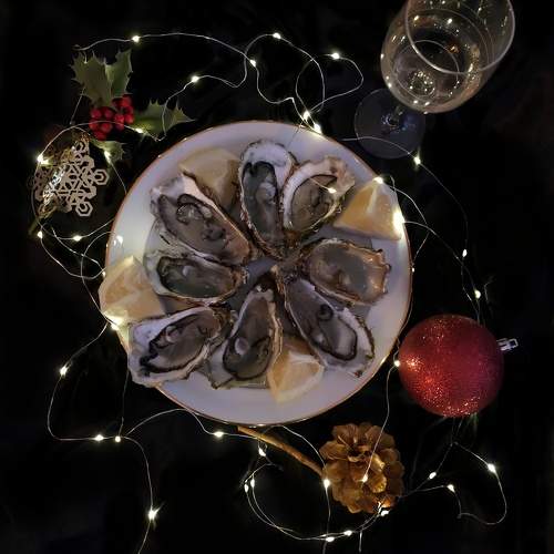 Photo #10211244