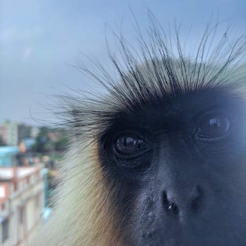 Photo #10211440