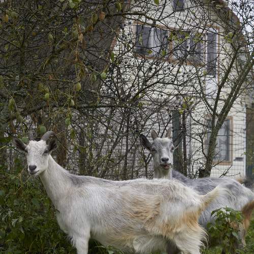 Photo #10211461
