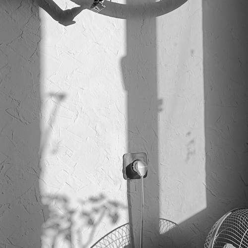 Photo #10211475