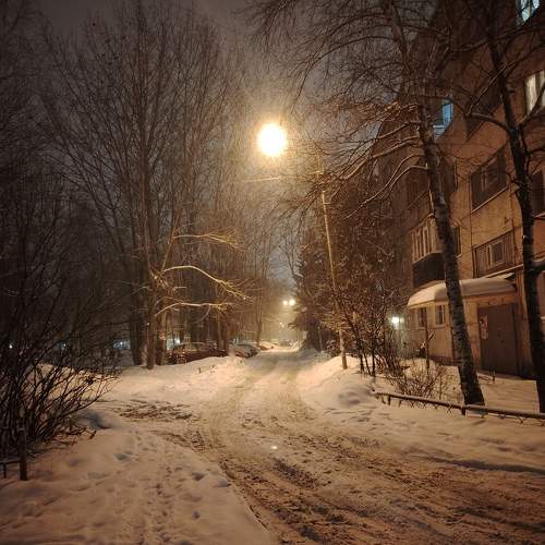 Photo #10211522